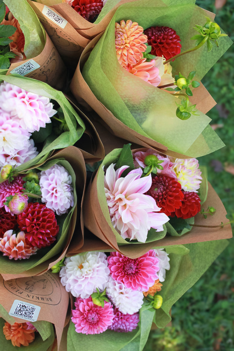 Fall Dahlia Bunch
