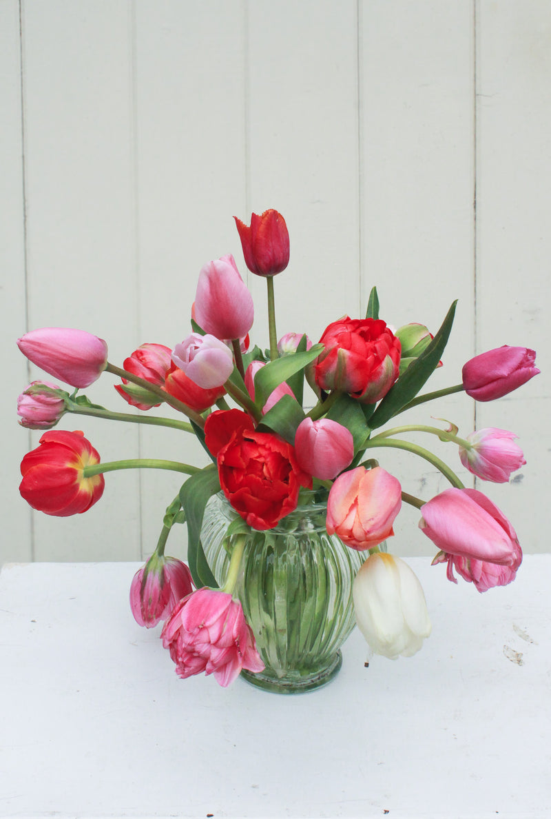 Boutique Tulip Ginger Jar