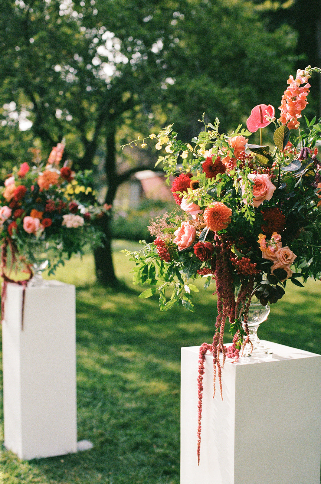 Image with text section