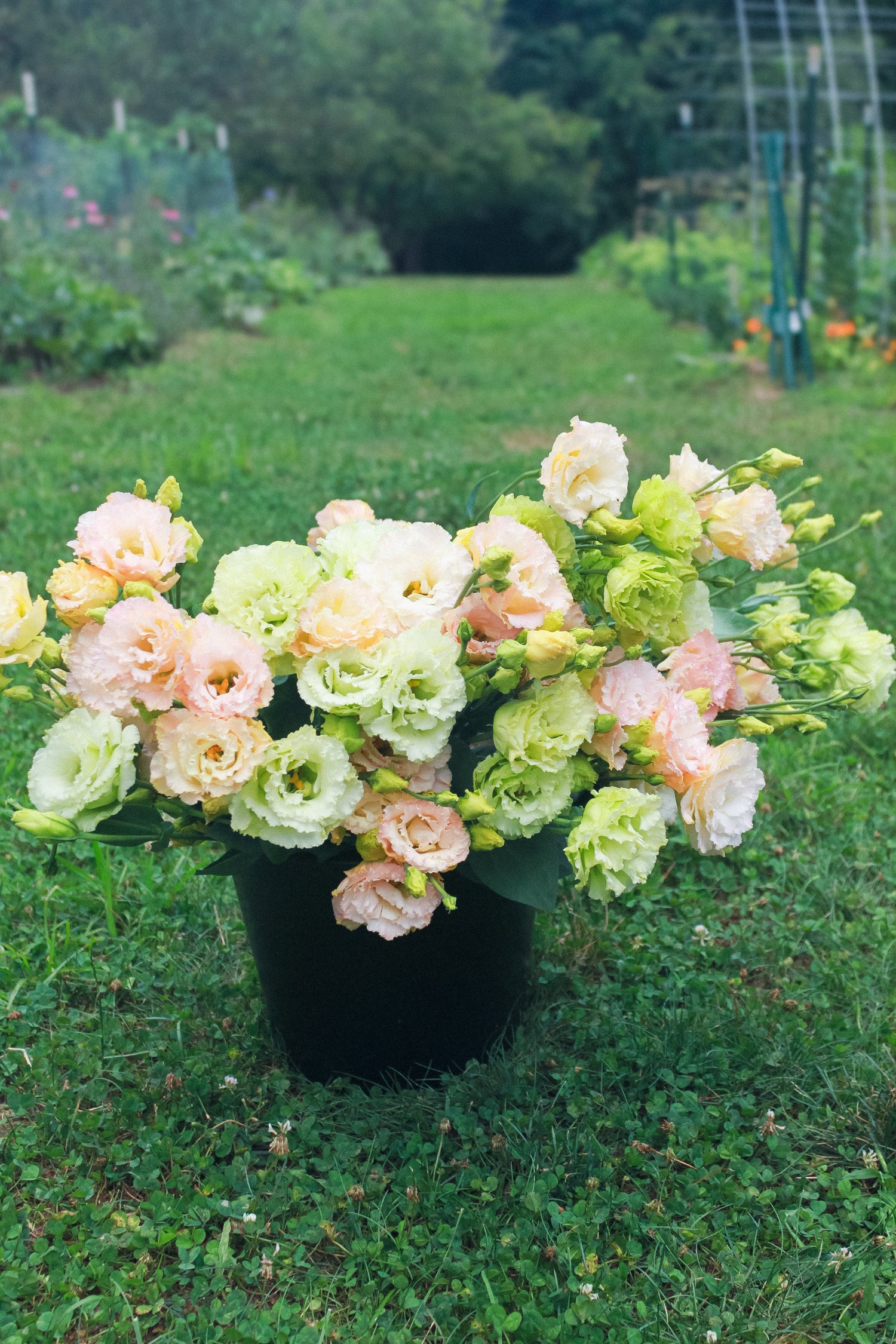 Three Seasons of Bouquets