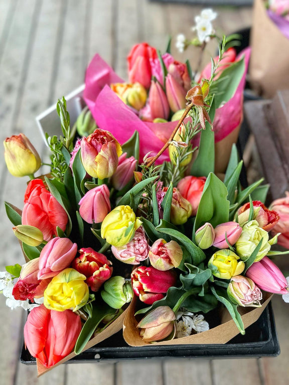 tulip bouquets