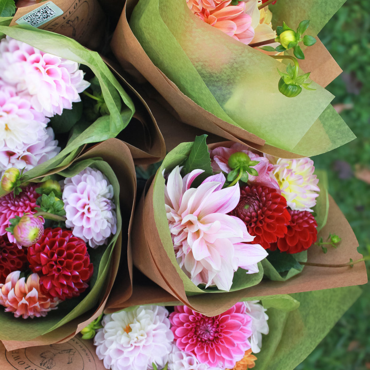Fall Dahlia Bunch
