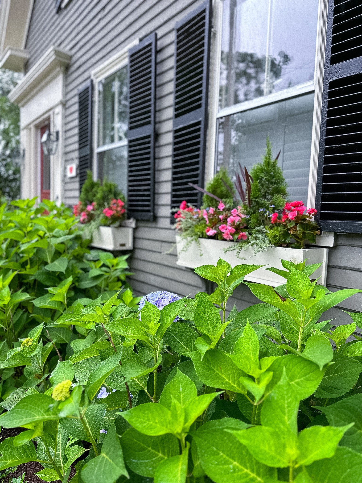 Container Design – Berkin Flowers