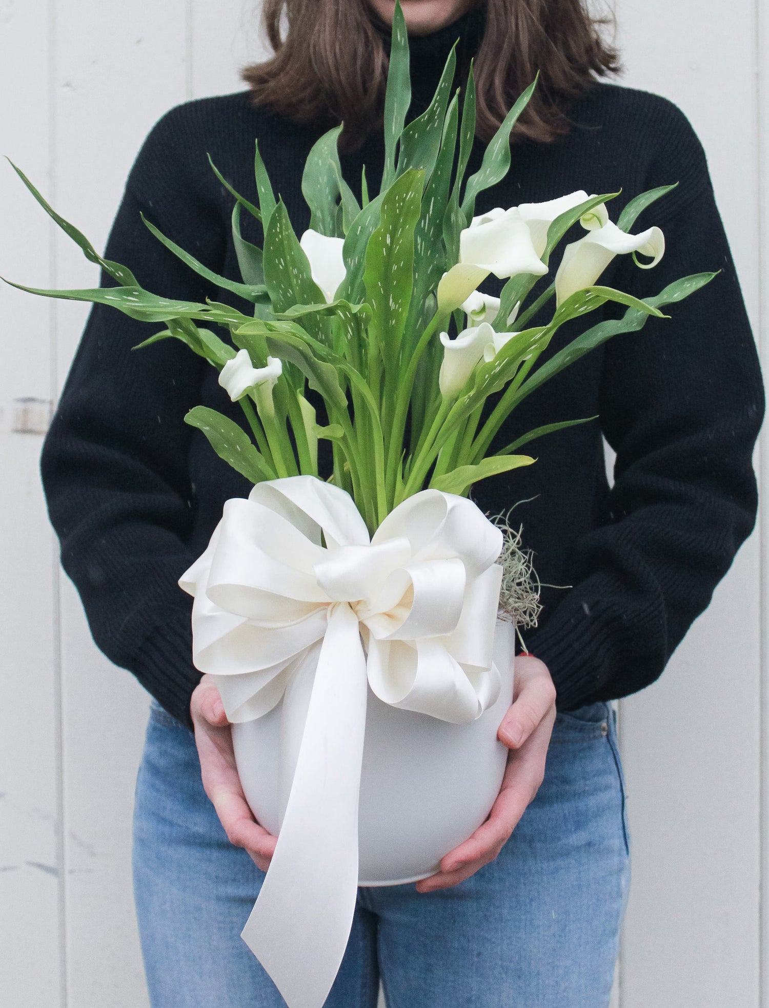 Elegant White Flowering Plant