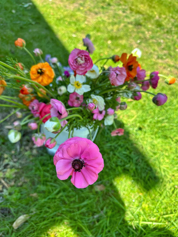 ranunculus bunch