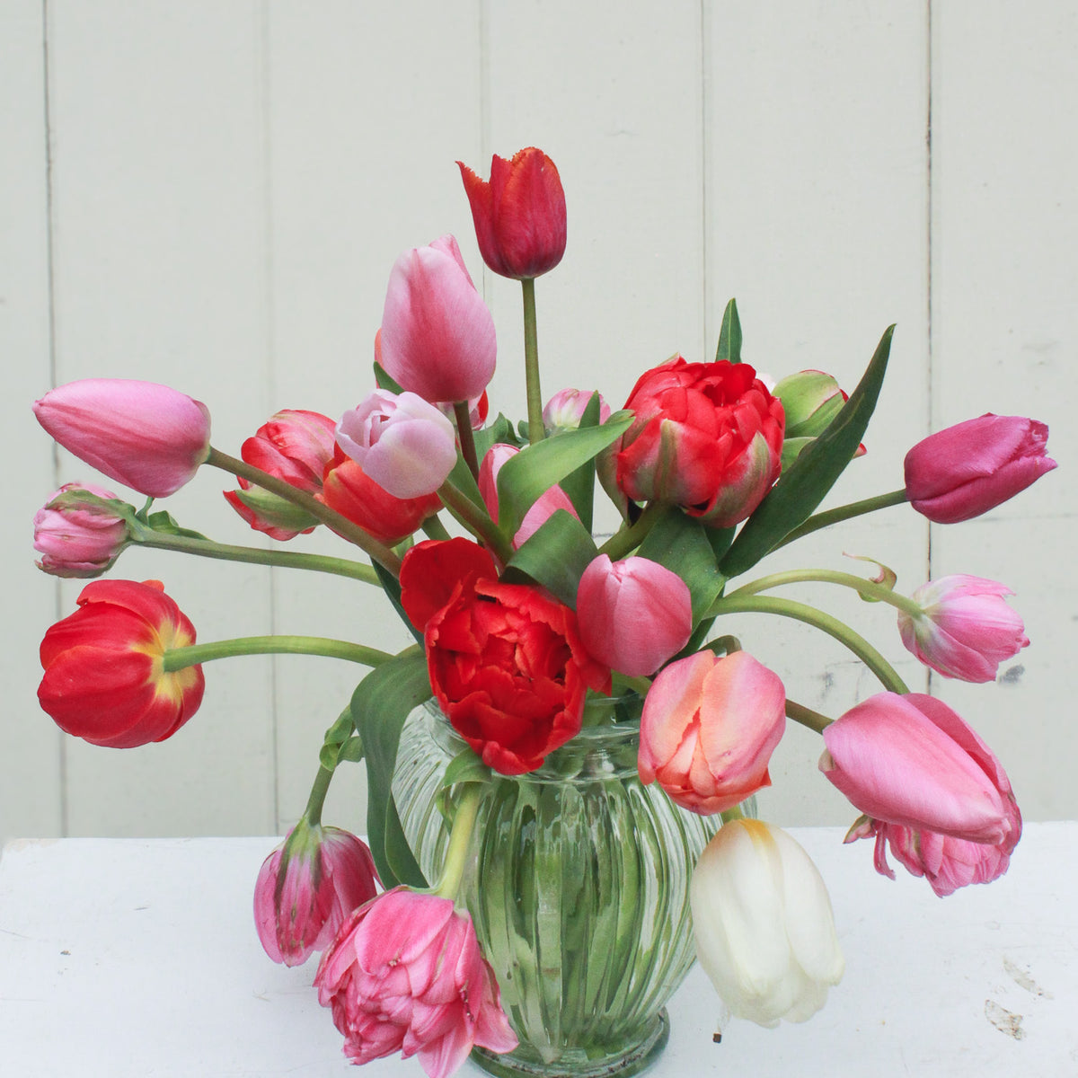Boutique Tulip Ginger Jar