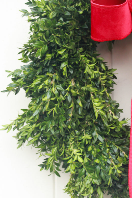 Red Velvet Boxwood Wreath