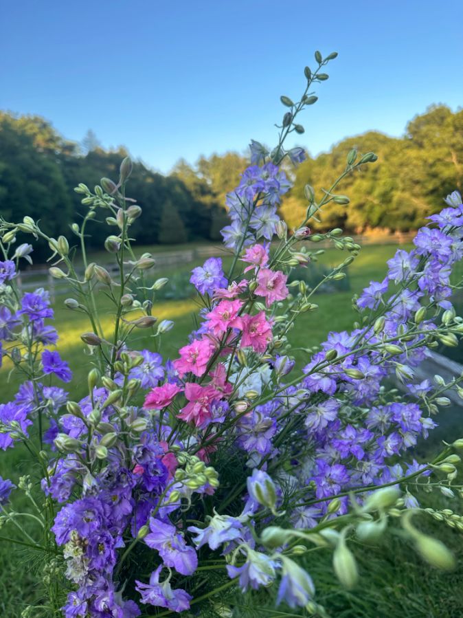 Summer Bouquet Subscription